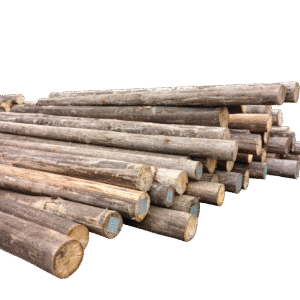 Eucalipto Tratado 10m x 13-14cm (Diâmetro)