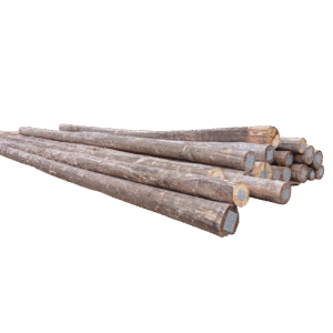 Eucalipto Tratado 11m x 13-14cm (Diâmetro)