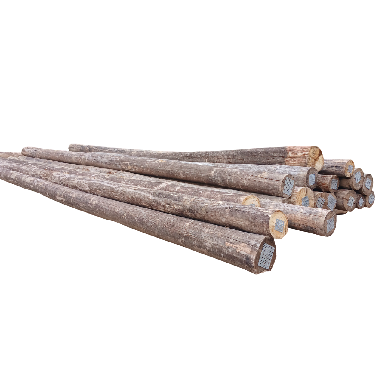 Eucalipto Tratado 11m x 17-18cm (Diâmetro)