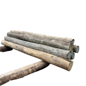 Eucalipto Tratado 2.5m x 08-10cm (Diâmetro)