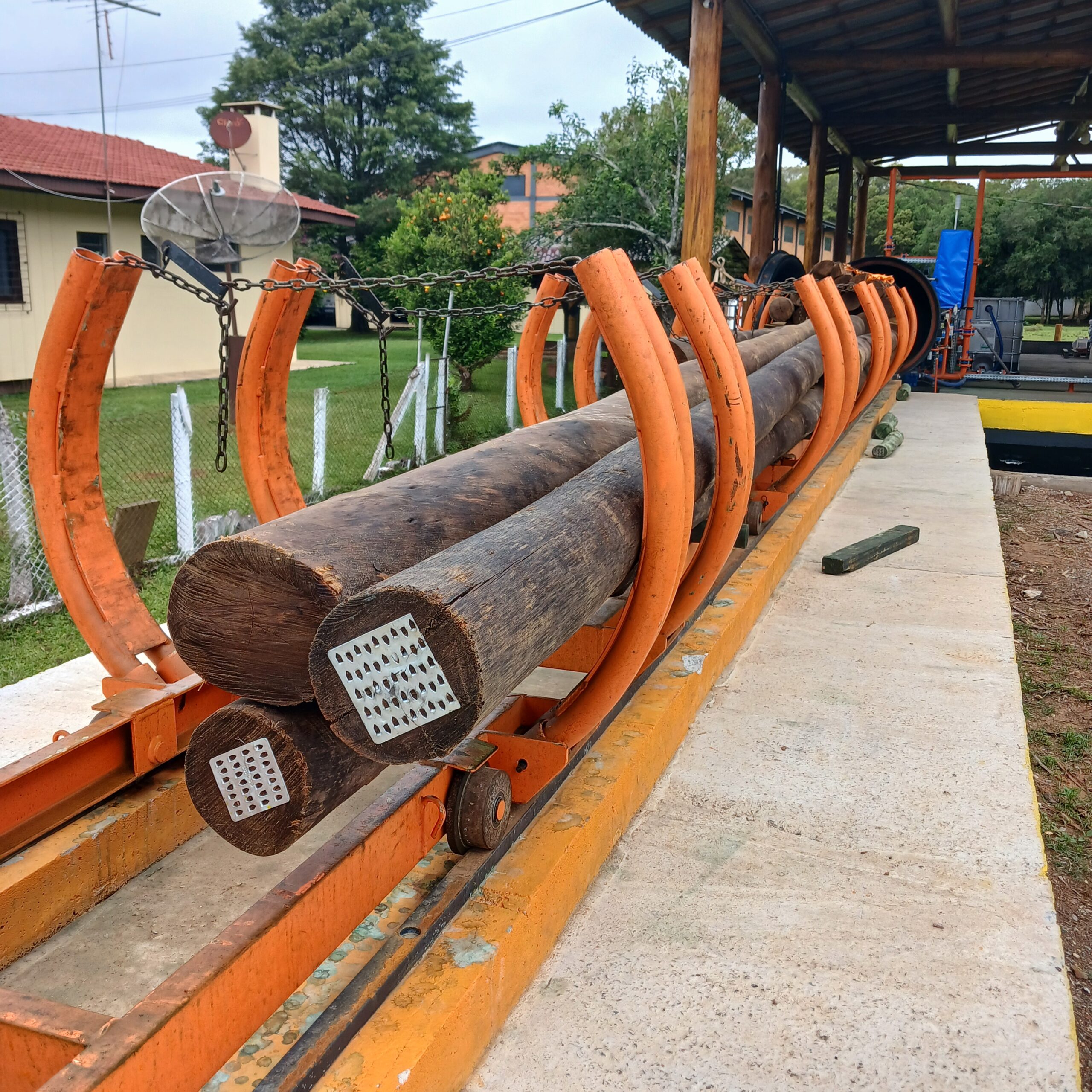 Eucalipto Tratado 11m x 17-18cm (Diâmetro) - Imagem 14