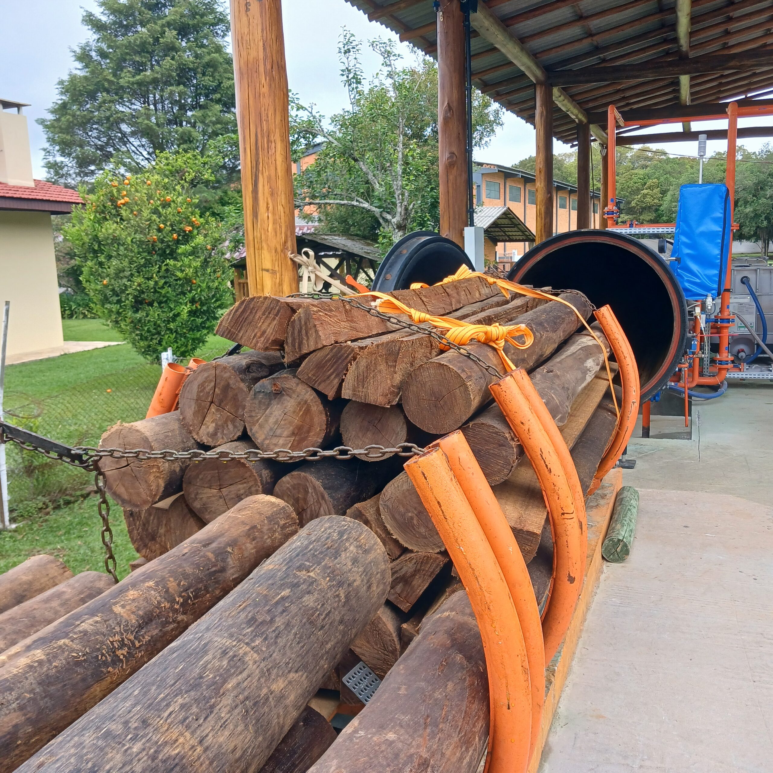 Eucalipto Tratado 11m x 17-18cm (Diâmetro) - Imagem 13