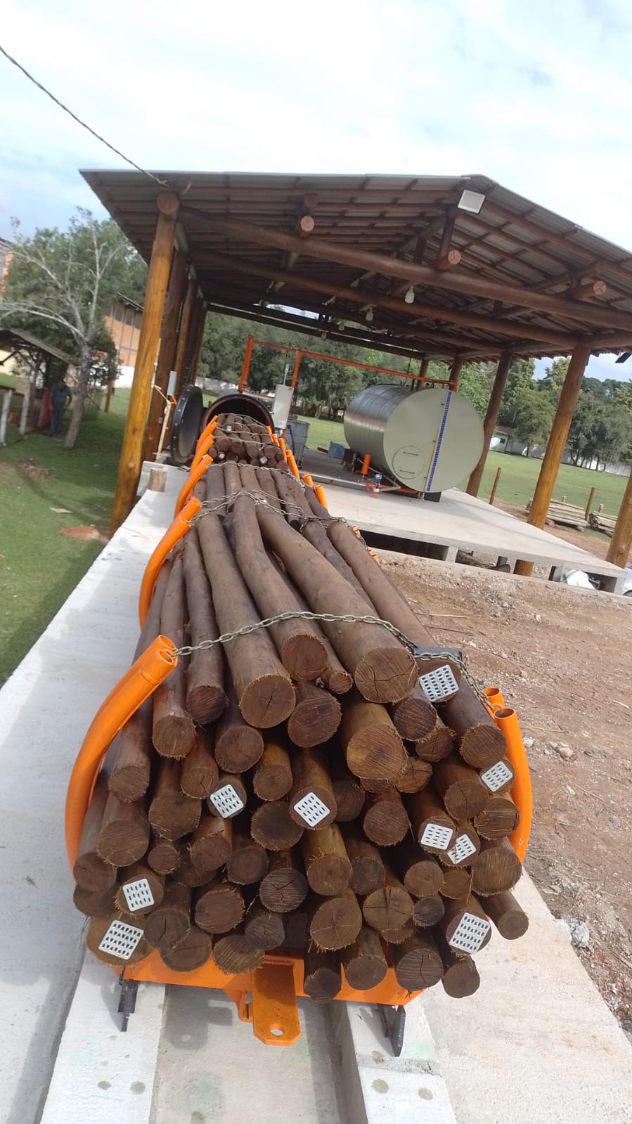 Eucalipto Tratado 11m x 17-18cm (Diâmetro) - Imagem 12