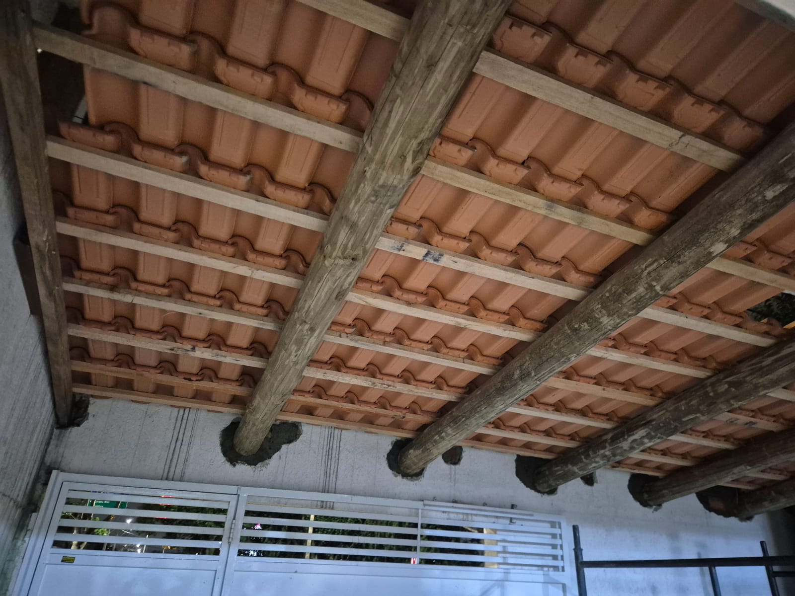 Eucalipto Tratado 11m x 17-18cm (Diâmetro) - Imagem 8