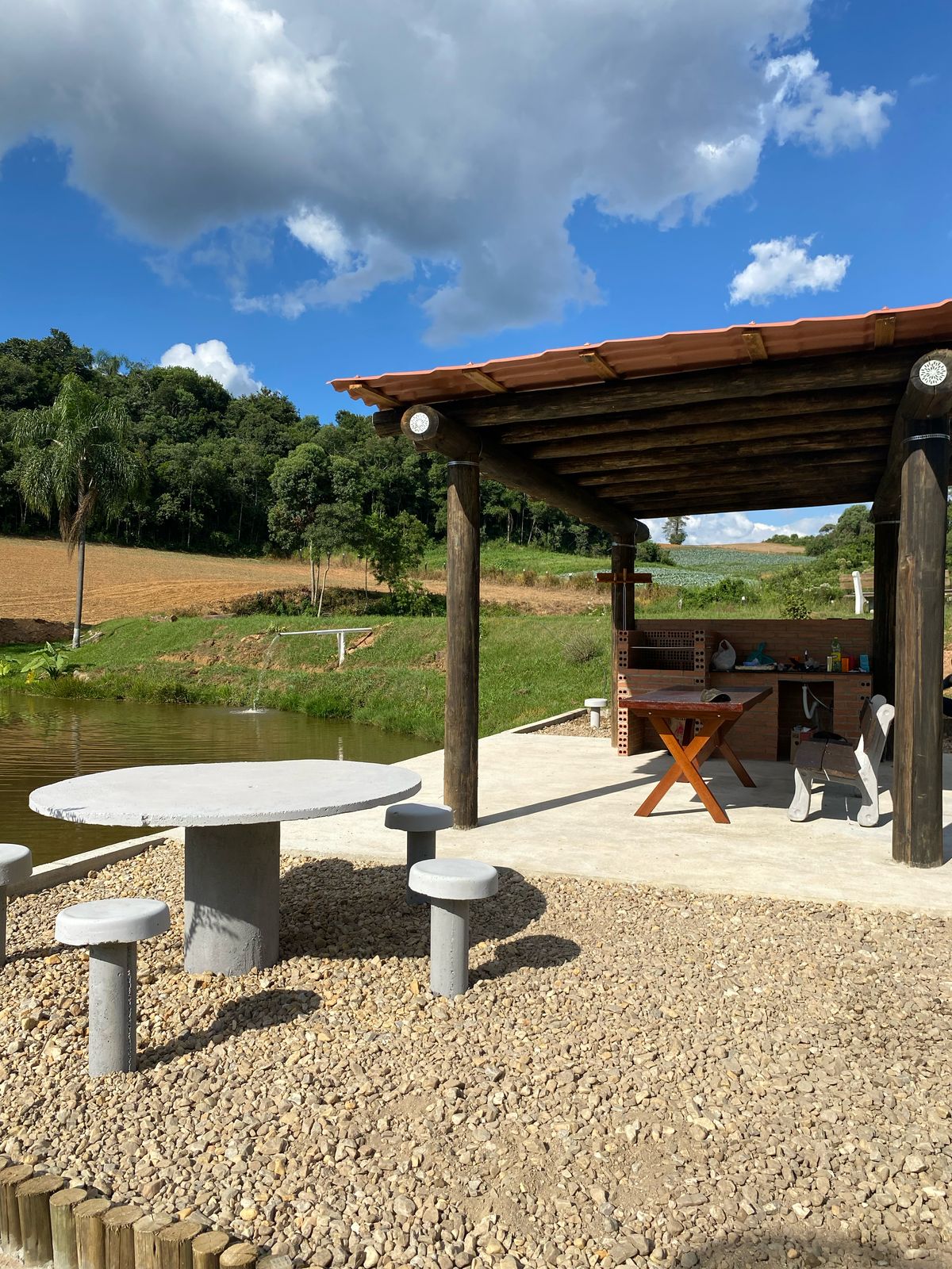 Eucalipto Tratado 11m x 17-18cm (Diâmetro) - Imagem 6