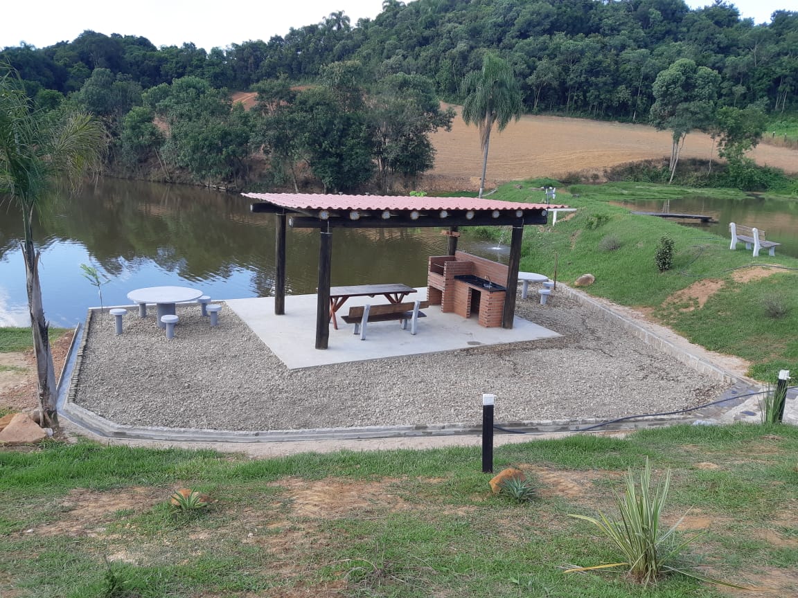 Eucalipto Tratado 11m x 17-18cm (Diâmetro) - Imagem 5